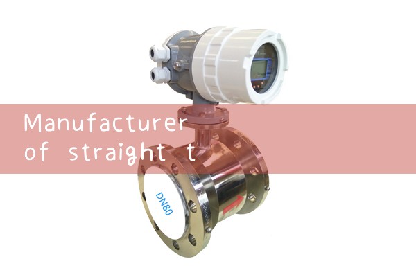 Manufacturer of straight pipe quality flowmeter